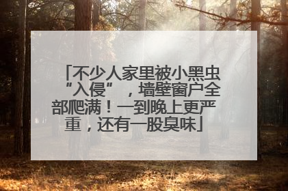 不少人家里被小黑虫“入侵”，墙壁窗户全部爬满！一到晚上更严重，还有一股臭味