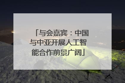 与会嘉宾：中国与中亚开展人工智能合作前景广阔