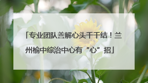 专业团队善解心头千千结！兰州榆中综治中心有“心”招