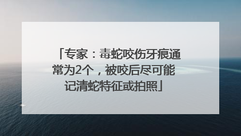 专家：毒蛇咬伤牙痕通常为2个，被咬后尽可能记清蛇特征或拍照