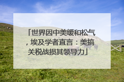 世界因中美缓和松气，埃及学者直言：美搞关税战损其领导力