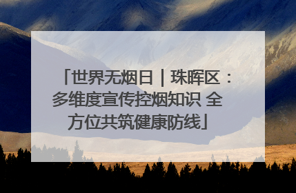 世界无烟日｜珠晖区：多维度宣传控烟知识 全方位共筑健康防线