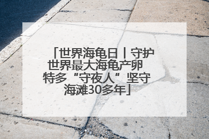 世界海龟日丨守护世界最大海龟产卵 特多“守夜人”坚守海滩30多年
