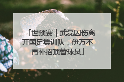 世预赛｜武磊因伤离开国足集训队，伊万不再补招顶替球员