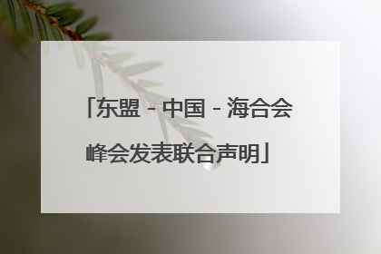 东盟－中国－海合会峰会发表联合声明