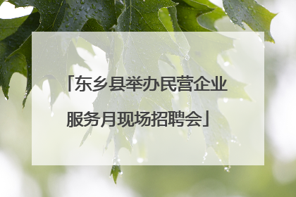 东乡县举办民营企业服务月现场招聘会