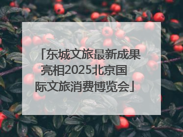 东城文旅最新成果亮相2025北京国际文旅消费博览会
