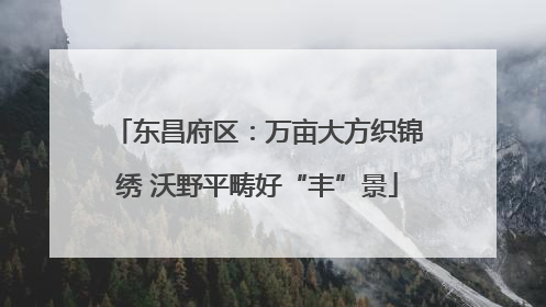 东昌府区：万亩大方织锦绣 沃野平畴好“丰”景