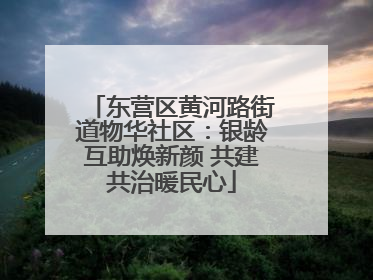 东营区黄河路街道物华社区：银龄互助焕新颜 共建共治暖民心