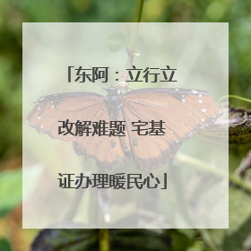 东阿：立行立改解难题 宅基证办理暖民心