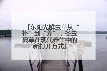 东阳光鲜虫草从“补”到“养”，冬虫夏草在现代养生中的新打开方式