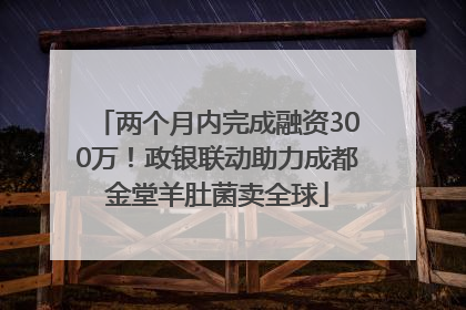 两个月内完成融资300万！政银联动助力成都金堂羊肚菌卖全球
