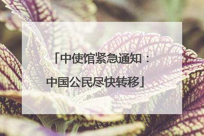 中使馆紧急通知：中国公民尽快转移