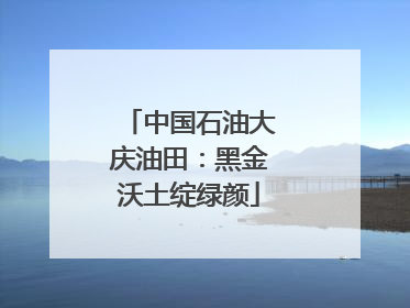 中国石油大庆油田：黑金沃土绽绿颜