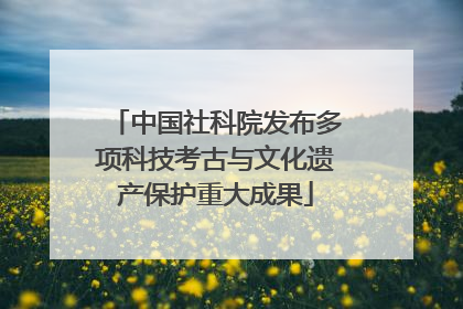 中国社科院发布多项科技考古与文化遗产保护重大成果