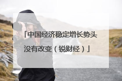 中国经济稳定增长势头没有改变（锐财经）