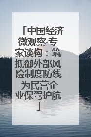 中国经济微观察·专家谈构：筑抵御外部风险制度防线 为民营企业保驾护航