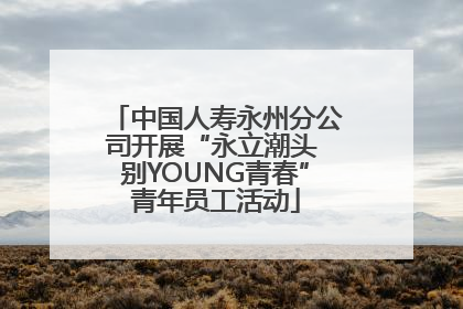 中国人寿永州分公司开展“永立潮头 别YOUNG青春”青年员工活动