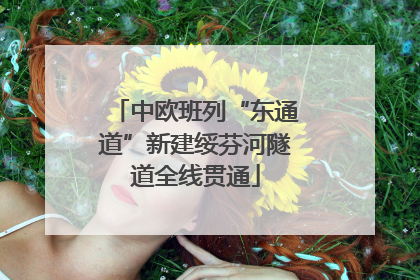 中欧班列“东通道”新建绥芬河隧道全线贯通