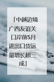 中越边境广西友谊关口岸前5月进出口货运量增长超三成