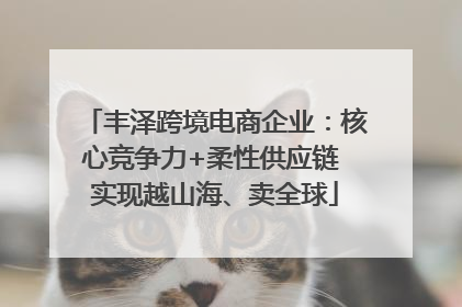 丰泽跨境电商企业：核心竞争力+柔性供应链 实现越山海、卖全球