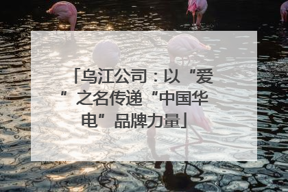 乌江公司：以“爱”之名传递“中国华电”品牌力量