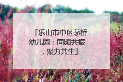 乐山市中区茅桥幼儿园：同频共振，聚力共生