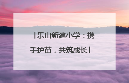 乐山新建小学：携手护苗，共筑成长