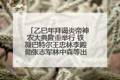 乙巳年拜谒炎帝神农大典隆重举行 铁凝巴特尔王忠林李殿勋张志军林中森等出席 孙伟主持