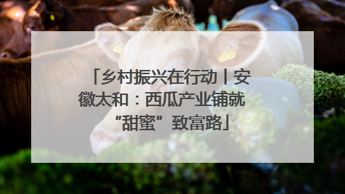 乡村振兴在行动丨安徽太和：西瓜产业铺就“甜蜜”致富路