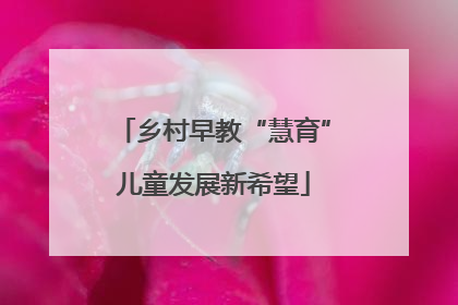 乡村早教“慧育”儿童发展新希望