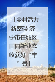 乡村活力新密码 济宁市任城区田园新业态收获好“丰”景
