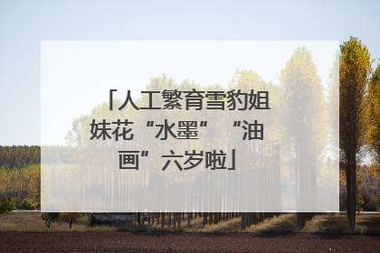 人工繁育雪豹姐妹花“水墨”“油画”六岁啦