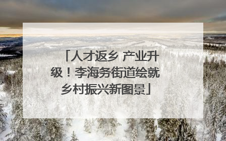 人才返乡 产业升级！李海务街道绘就乡村振兴新图景