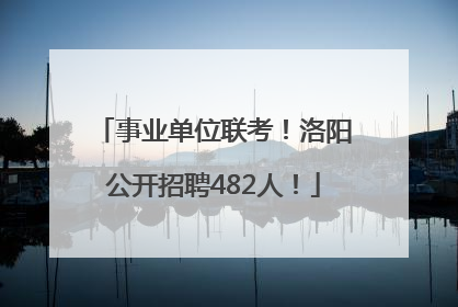 事业单位联考！洛阳公开招聘482人！