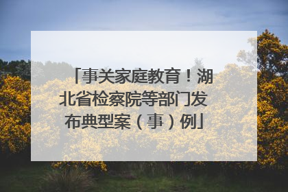 事关家庭教育！湖北省检察院等部门发布典型案（事）例