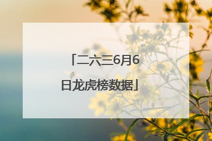 二六三6月6日龙虎榜数据