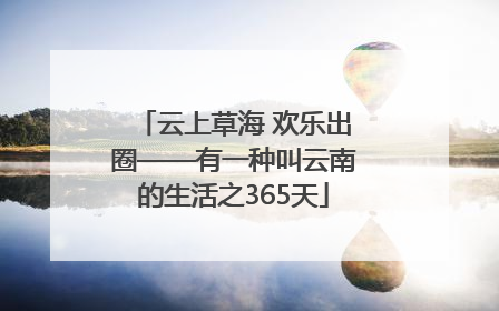 云上草海 欢乐出圈——有一种叫云南的生活之365天