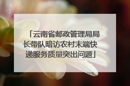 云南省邮政管理局局长带队暗访农村末端快递服务质量突出问题