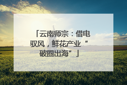 云南师宗：借电驭风，鲜花产业“破圈出海”