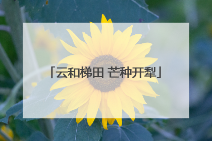 云和梯田 芒种开犁