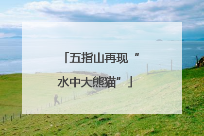 五指山再现“水中大熊猫”