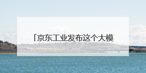 京东工业发布这个大模型，上海“链动众城 万亿降本”计划启动