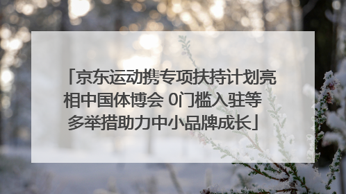 京东运动携专项扶持计划亮相中国体博会 0门槛入驻等多举措助力中小品牌成长