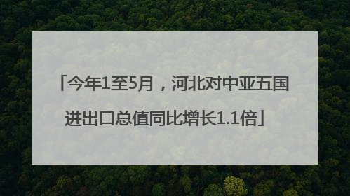 今年1至5月，河北对中亚五国进出口总值同比增长1.1倍