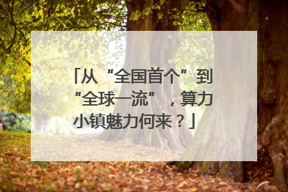 从“全国首个”到“全球一流”，算力小镇魅力何来？