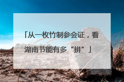 从一枚竹制参会证，看湖南节能有多“拼”