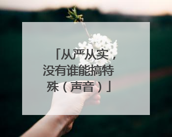 从严从实，没有谁能搞特殊（声音）
