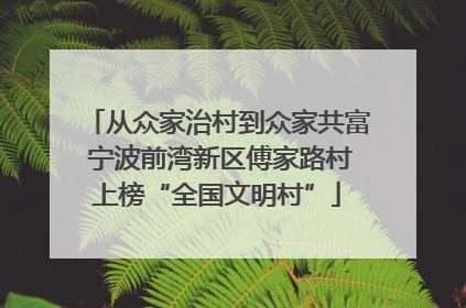 从众家治村到众家共富 宁波前湾新区傅家路村上榜“全国文明村”