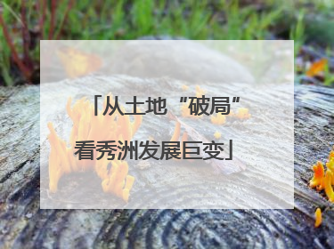从土地“破局”看秀洲发展巨变